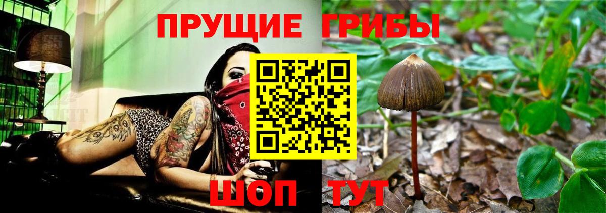 Галлюциногенные грибы Magic Shrooms  Вход с VPN  Галлюциногенные грибы Magic Shrooms  Фурманов 